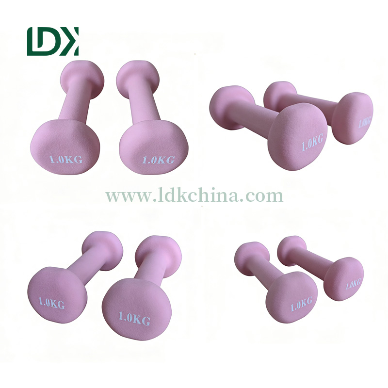 Bulk Dumbbells Supplier High-Quality Free Weights for Strength Training